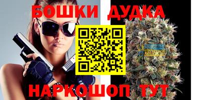 индика Коммунар