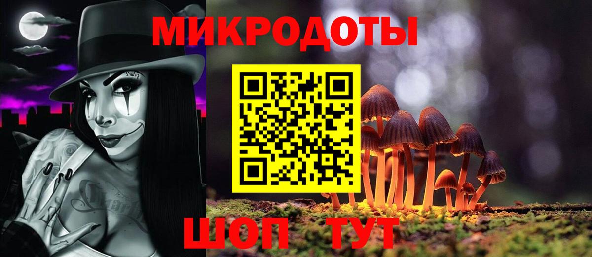 Киселёвск  Псилоцибиновые грибы GOLDEN TEACHER  Вход с VPN  Псилоцибиновые грибы Psilocybine cubensis 