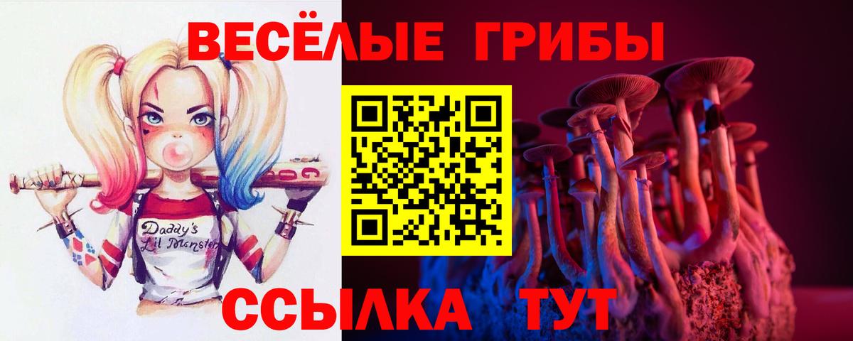 Галлюциногенные грибы Magic Shrooms Киселёвск